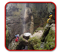 Guided S.R.T. trips