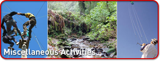 Miscellaneous Activities